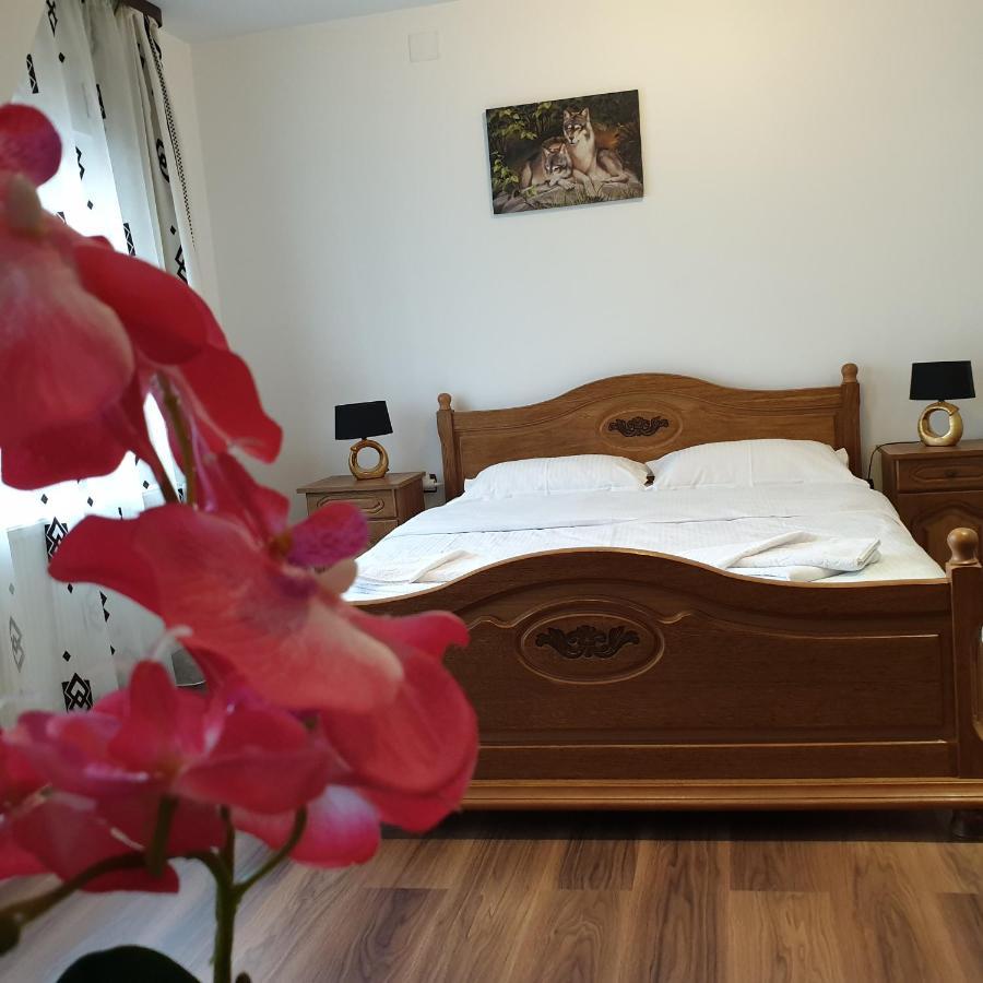 Casa Poenaru Hotel Campulung Moldovenesc Luaran gambar