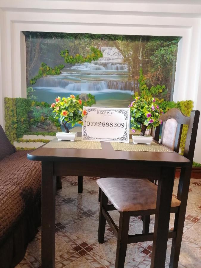 Casa Poenaru Hotel Campulung Moldovenesc Luaran gambar